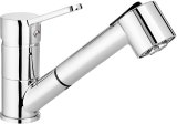 Kitchen faucet with pull-out spout #1