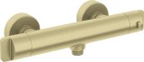 Thermostatic shower faucet #1