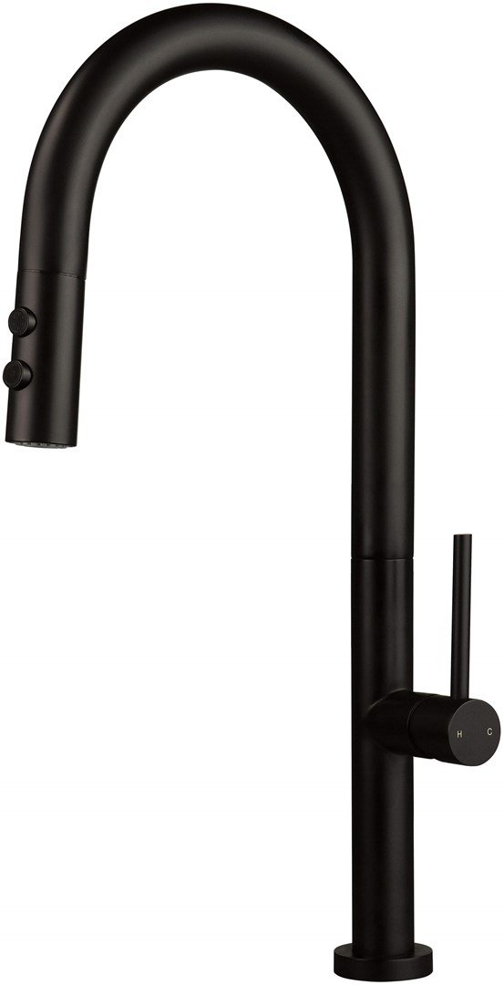 Kitchen faucet with pull-out spout - 2 types of spray #1