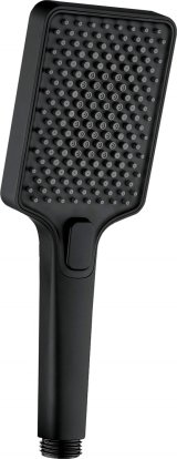 4-function shower head #1