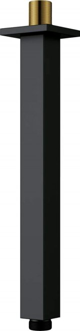 Ceiling shower spout - 250 mm #1