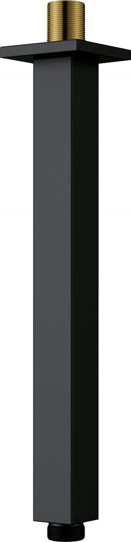 Ceiling shower spout - 250 mm #1
