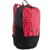 Puma Individual Rise Backpack Pink-Black 79911 04 #1