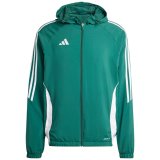 adidas Tiro 24 Men's Jacket Green IM8810 S #1