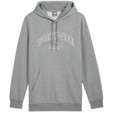 Puma Ess+ Logo LAB Gradient Hoodie FL Grey 681775 03 M #1