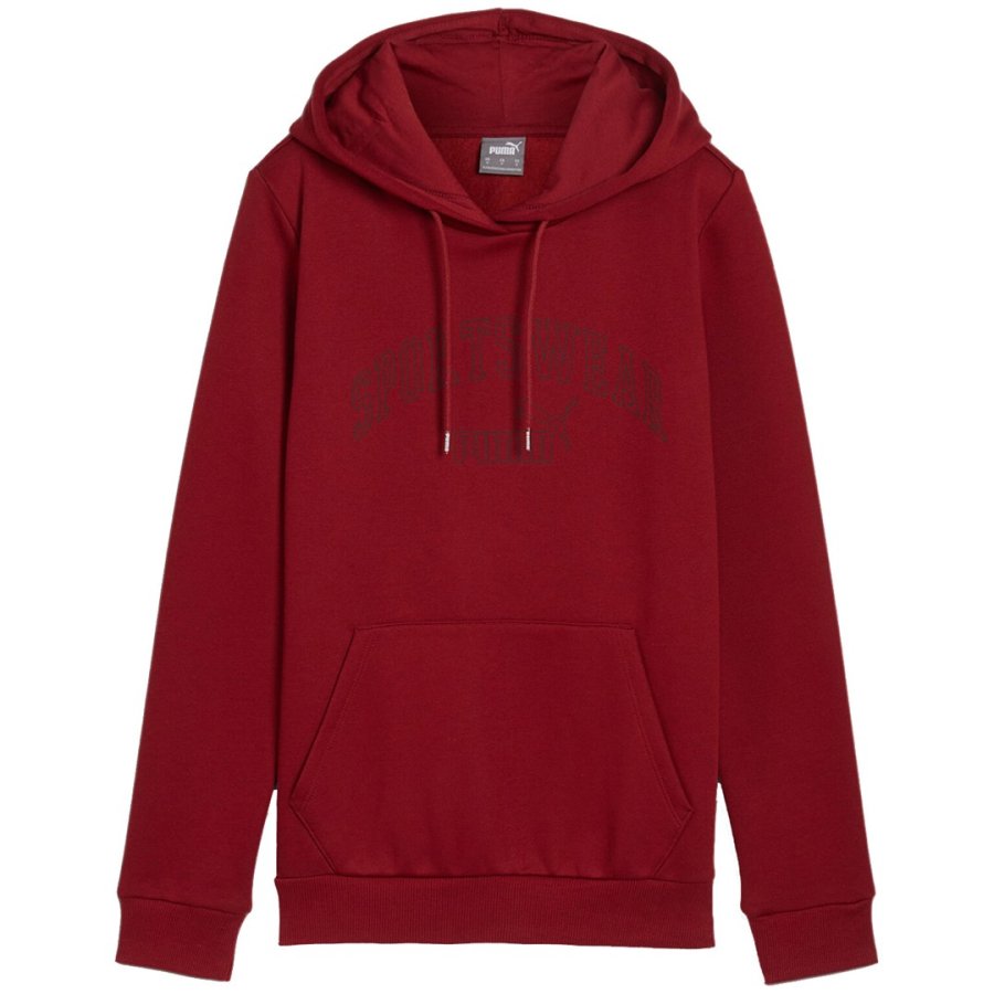Puma Ess+ Logo LAB Hoodie FL burgundy 682987 13 L #1