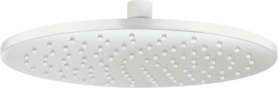 Brass shower head - round #1