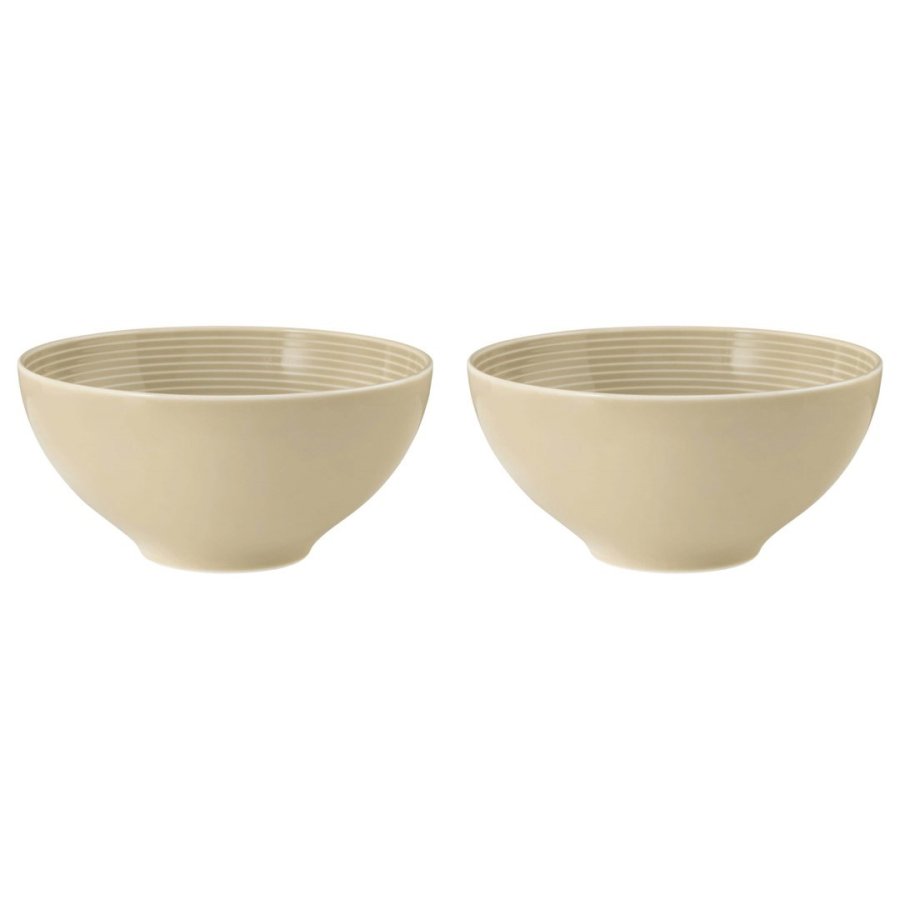 SELTMANN BEAT COLOR GLAZE Set of 2 round bowls 15.5 cm #1