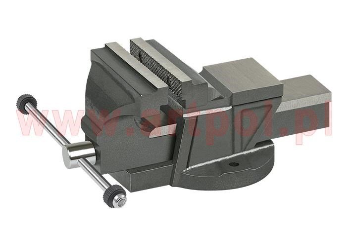 Fixed cast iron vise 125mm/AR #1