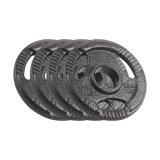 Olympic cast iron weight set 4x1.25kg, bore 51mm, plate with handles, REBEL ACTIVE #1