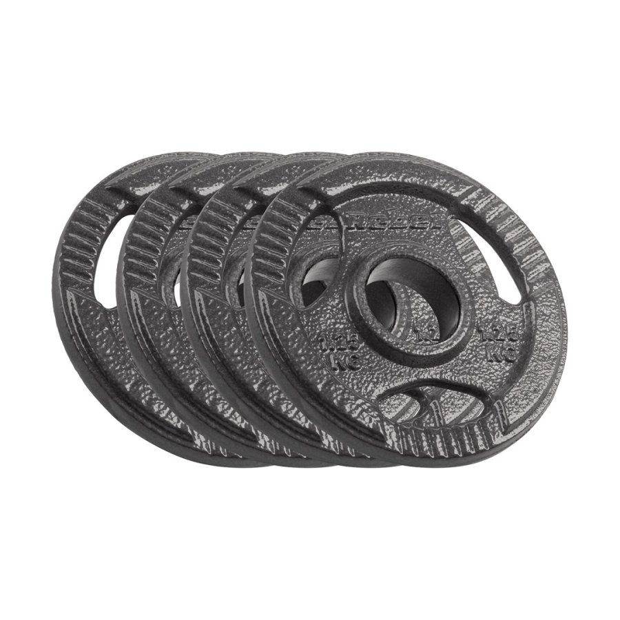 Olympic cast iron weight set 4x1.25kg, bore 51mm, plate with handles, REBEL ACTIVE #1