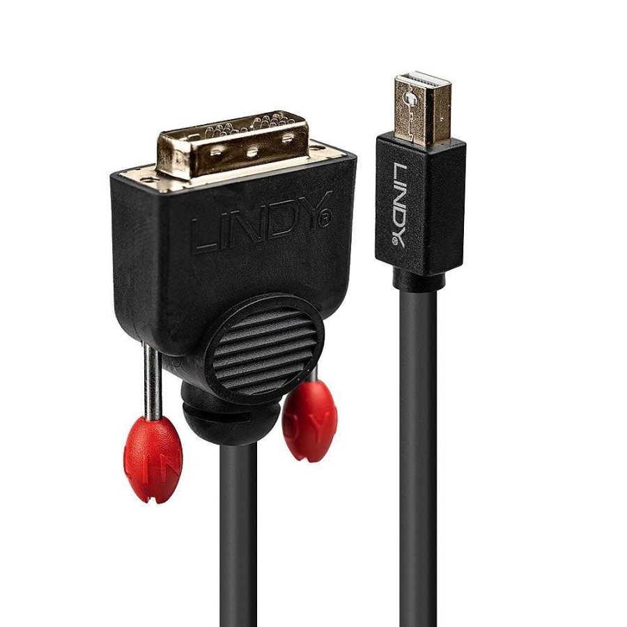 Lindy 41953 videokabel adapter 3 m Mini DisplayPort DVI-D Sort #2