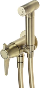 Concealed bidet mixer with bidetta receiver #1