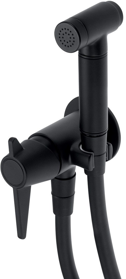 Concealed bidet mixer with bidetta receiver #1