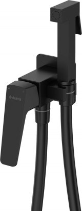 Concealed bidet faucet #1