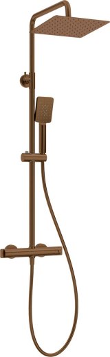 Rain shower with thermostatic shower mixer #1