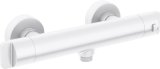 Thermostatic shower faucet #1