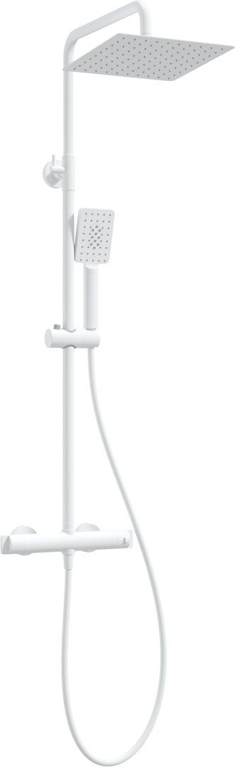 Rain shower with thermostatic shower mixer #1
