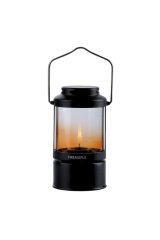 Aurora-black FIRE-MAPLE lamp #1