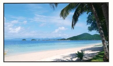 Monitor HDMI, DP, VGA, AUDIO, USB, RJ45 49