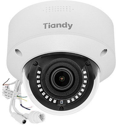 Vandal-Proof IP Camera TC-C32MS #1