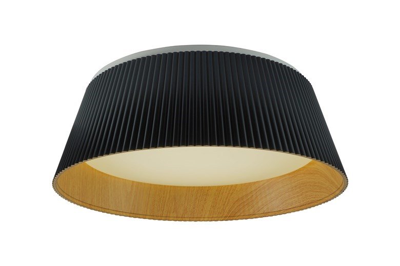 Ceiling LED Light TAI D45 4000K Black #1