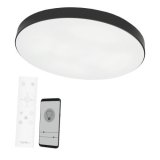 Ceiling lamp Boston 2x60W D80RC LED black #1