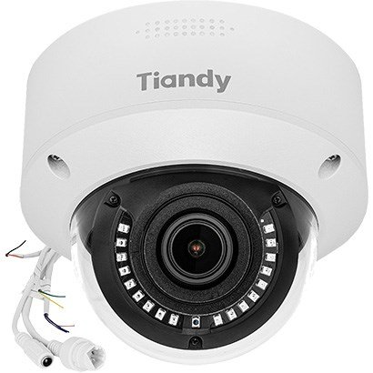 Vandal-Proof IP Camera TC-C35MS #1