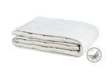 SILK BLANKET 1ASILK4/220200-0 220X200 #1