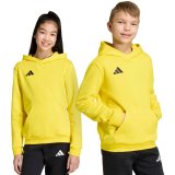 Bluza dla dzieci adidas Entrada 26 Hoody ż�łta JZ6564 140cm #1