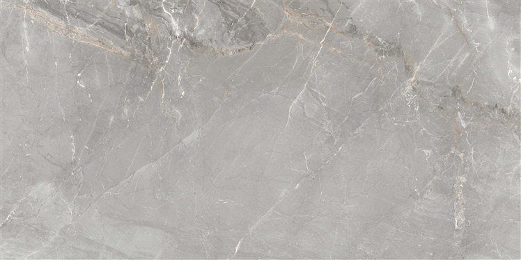 TILE CHARME GREY�60X120 (1.44) #1