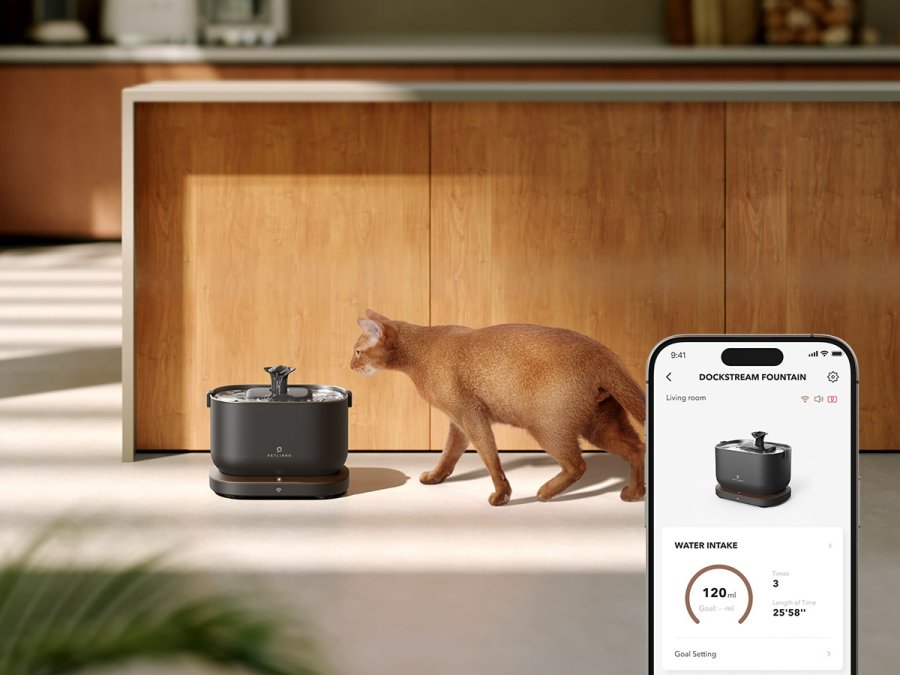 Petlibro Dockstream Smart vandsk�l og foderautomat til hund og kat Acrylonitrilbutadienstyren, Rustfrit st�l Sort Automatisk vandautomat til k�ledyr #2