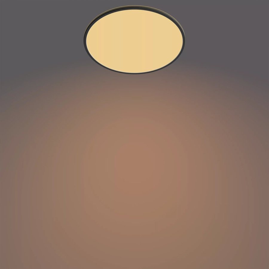 Philips Funktionel Super Slim loftslampe 36 W #5