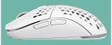 Gaming Mouse GAMIAC PX71 - White #3