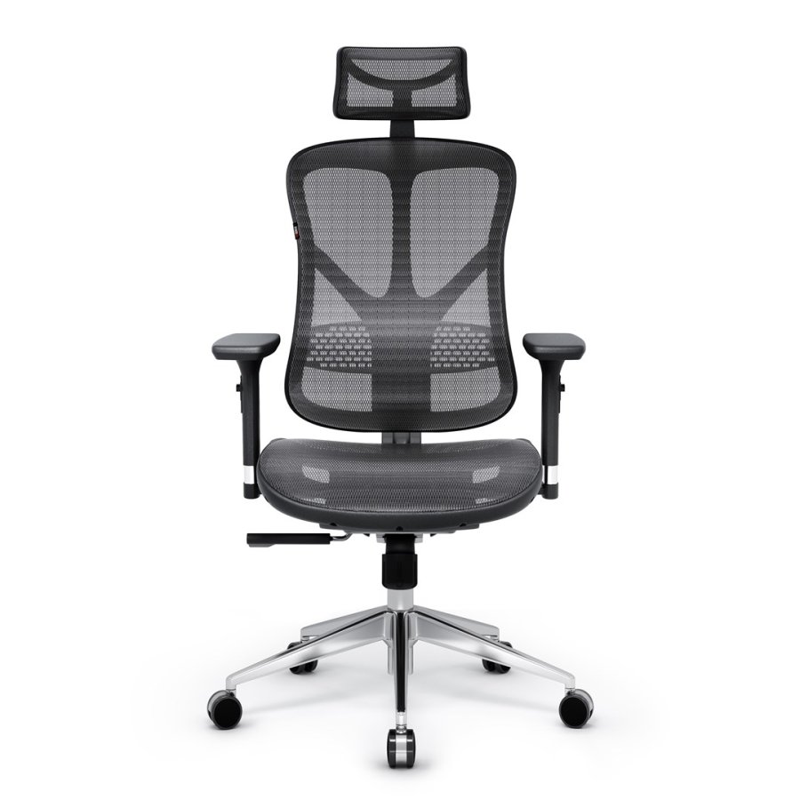 DIABLO V-BASIC ergonomisk lnestol sort-gr #1