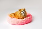 GO GIFT Shaggy pink L - seng til kledyr - 66 x 66 x 10 cm #2