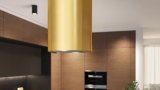 MAAN ELBA PB 31 GOLDEN GLOSS HOOD #13