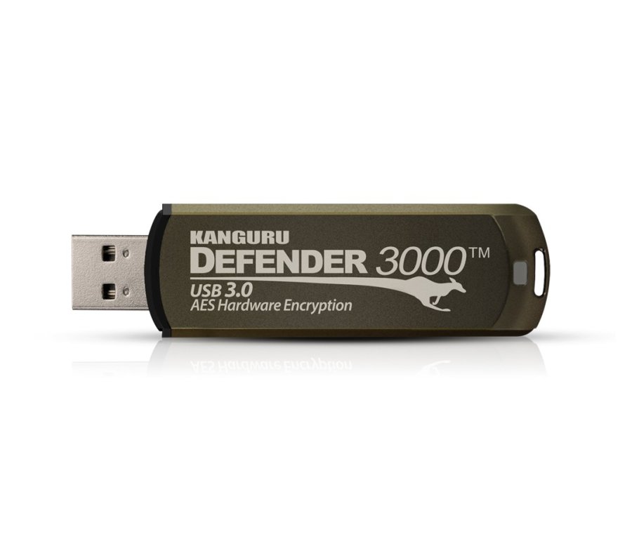 iStorage Kanguru Defender 3000 USB-ngle 256 GB USB Type-C 3.2 Gen 1 (3.1 Gen 1) Gr #6