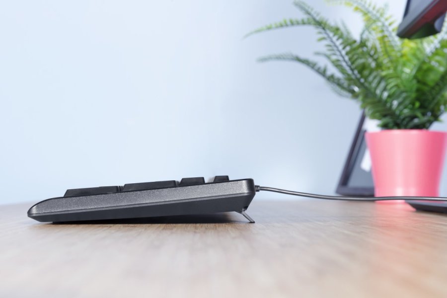 Trust Primo tastatur USB QWERTY US engelsk Sort #5