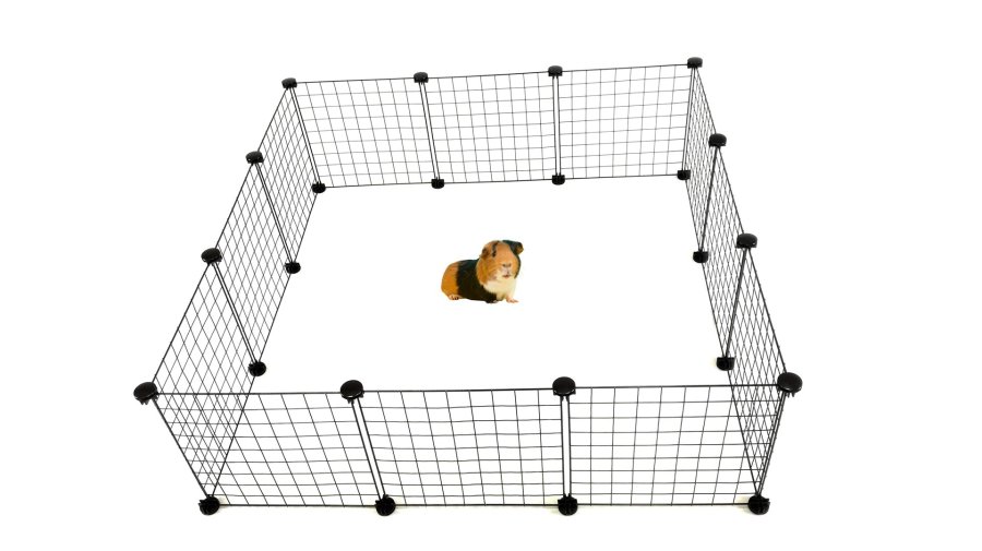 C&C Modulr hundeluftbane 145x75x37 cm #11