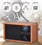 Adler AD 1184 radio Brbar Digital Sort, Tr #2