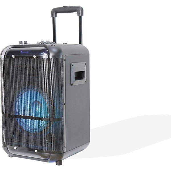 Denver TSP-306 Public Address (PA) hjttaler #1