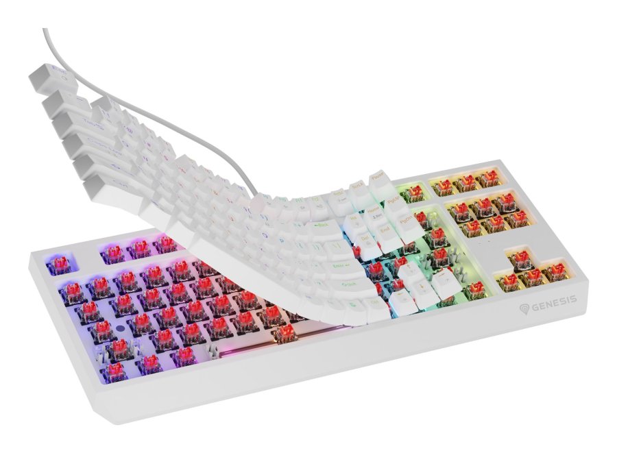 KLAWIATURA DLA GRACZY GENESIS THOR 230 TKL US RGB MECHANICZNA OUTEMU RED BIAA HOT SWAP #6