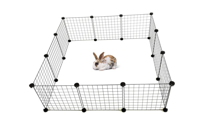 C&C Modulr hundeluftbane 145x75x37 cm #12