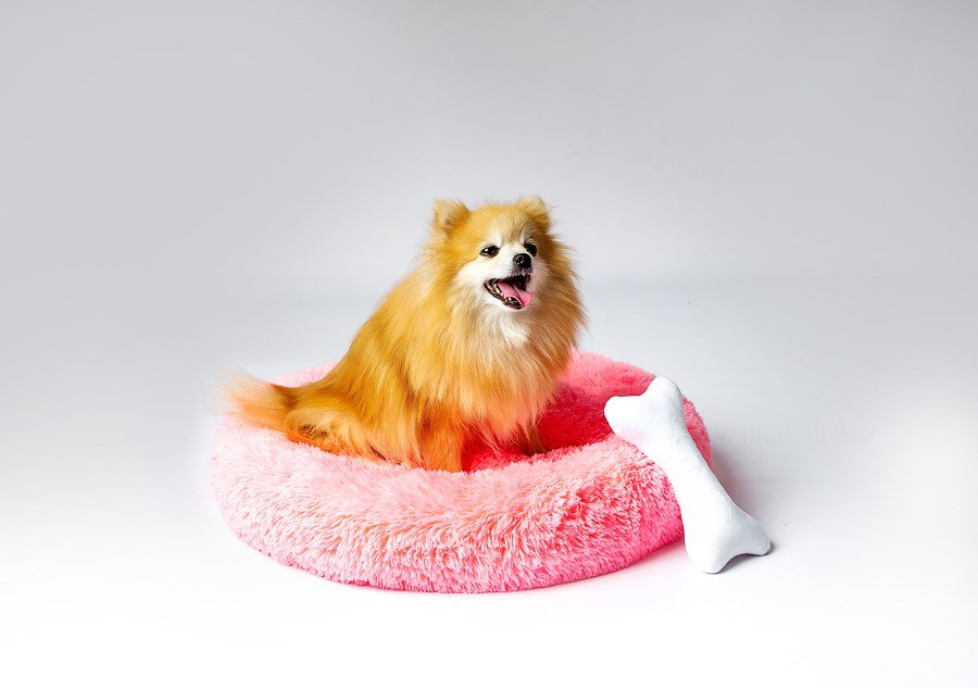 GO GIFT Shaggy pink L - seng til kledyr - 66 x 66 x 10 cm #4