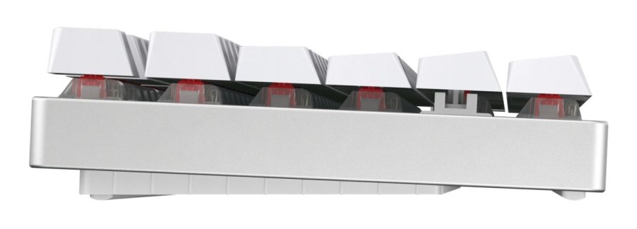 CHERRY XTRFY MX 8.2 TKL Wireless XAGA tastatur Spil USB + RF Wireless + Bluetooth QWERTZ Tysk Hvid #3