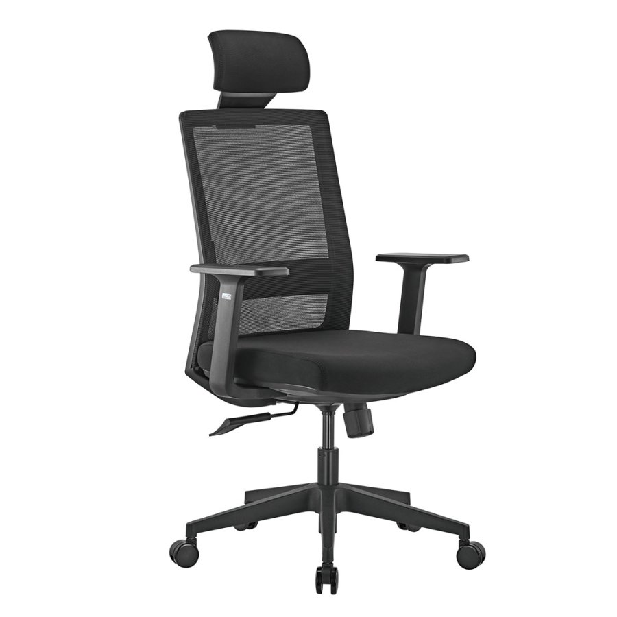 Premium ergonomisk kontorstol med hj ryg Ergo Office, max 150 kg, ER-425 #1