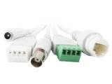 LevelOne FCS-5060 overv�gningskamera Kugle (form) IP-sikkerhedskamera Indend�rs & udend�rs 1920 x 1080 pixel Loft/v�g #6