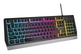 GENESIS RHOD 300 RGB tastatur Spil USB Sort #4