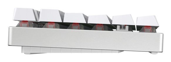 CHERRY MX 8.2 TKL Wireless RGB tastatur Spil USB + RF Wireless + Bluetooth QWERTZ Tysk Hvid #3